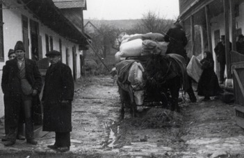 Család és kitelepítés a II. világháború utáni Közép-Kelet-Európában